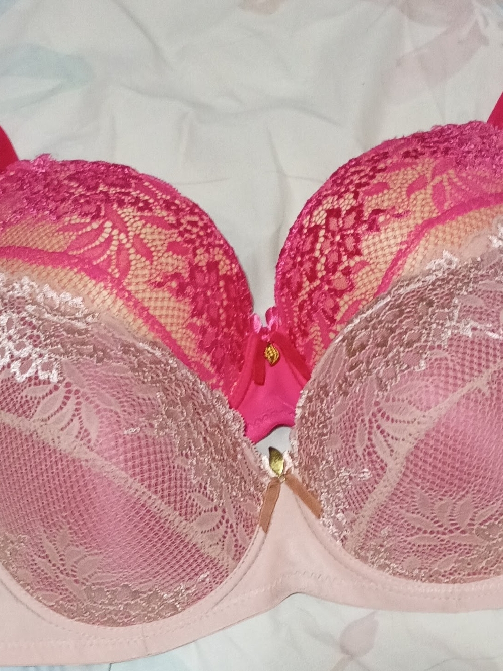 Women's Mamia Lace Push-Up Bra in Hot Pink and Light Pink